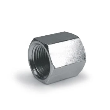 5406C-02 Hydraulic Adapters